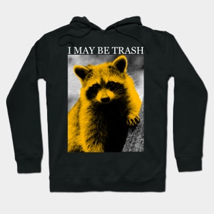 I MAY BE TRASH Raccoon Hoodie